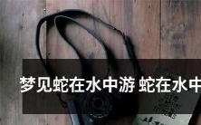 梦见蛇在水中游泳缭绕嬉戏,在清澈的水中翻滚,营造出无穷无尽的梦幻氛围!