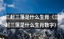 探讨三起三落生肖的身份