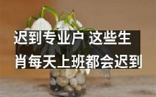 这些专业迟到生肖,每天上班都难以准时赶到