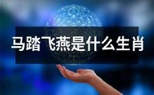 马踏飞燕的生肖象征及含义是什么?