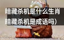 哪个生肖被称为暗藏杀机?这个词语的背景和用法解析