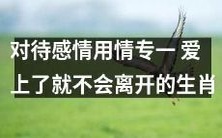 十二生肖中,对待感情绝不花心,坚守专一原则,爱上便永远不会离开的动物们