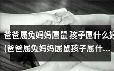 深度探讨父母属兔属鼠,孩子应该选择何种属相的命理学分析(Deep analysis on the choice of zodiac signs for children born to parents of rabbit and rat)