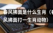 请问,能否告诉我春风拂面是哪个生肖呢?