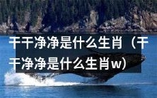 哪些生肖会特别注重清洁卫生?