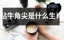 哪些人属于沉迷细节、被称作“钻牛角尖”、“追求完美主义”的星座或生肖?