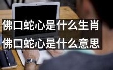 佛口蛇心是哪一年出生的生肖?佛口蛇心隐喻表达了什么样的意思?