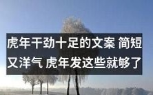 虎年超魔幻文案汇总:发这些,骁勇善战、旺旺旺到底!