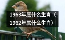 根据中国农历,1963年对应的属相是什么?