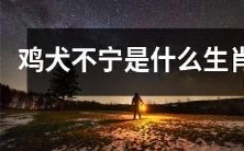 哪些属相的鸡犬不宁,引起人们的警觉和关注?