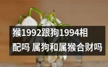 1992年属猴的人和1994年属狗的人,根据生肖配对理论,是否适合在经济上合作?