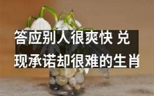 这个生肖在答应他人时很轻易,但实现他们的承诺却很困难