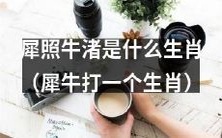 犀照牛渚:请问这位生肖是不是犀牛?