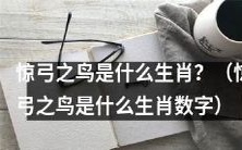 惊弓之鸟代表哪个生肖,是什么数字?