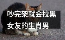 生肖男因吵架即将拉黑女友的典型行为分析