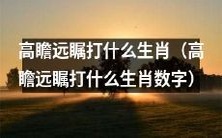 高瞻远瞩的人应该打哪个生肖 – 解析与数字说明