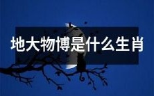 哪些生肖适合考取地大物博?