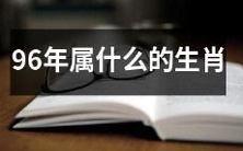 属于哪个生肖的人出生于1996年?