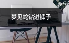 睡梦中见到一只蛇钻入裤腿,令人毛骨悚然的灵魂深处之阴森幽暗的恐惧体验