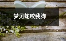 在睡梦中,我体验了一场恐怖的事件,梦中蛇咬我的脚,引发了我内心深处的恐惧和不安!