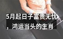 2021年5月起,幸福富贵、好运连连的十二生肖排行榜