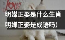 生肖中的明媒正娶指哪一个?明媒正娶是一个成语吗?