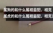 与属狗的人相配和相克的属相是哪些?此时,需要瞄准属狗者和属虎互相匹配的情形,深入探究属虎和其他属相之间的相似和差异,以获取最完整和详实的信息
