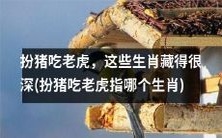 这些生肖像扮猪吃老虎一样隐藏自己的本性和优势特质,你知道哪些是吗?