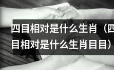 四目相对,到底是哪个生肖呢?