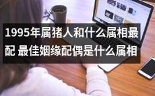 寻找1995年出生的属猪人最佳姻缘:何种属相与之最为配对?