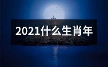 将于即将到来的新年属于哪些十二生肖呢?——2021年应届十二生肖分别为哪些?