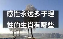 哪些生肖更倾向于感性思维而不是理性思维?