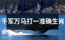 齐射千箭万马奔腾,猜测精准生肖竟出奇迹!