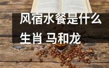 属于哪些生肖的风宿水餐?从风宿水餐与生肖的关联出发,分析并解读风宿水餐对马和龙这两个生肖的影响