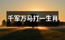 千军万马之下,猜猜哪个生肖才能独占鳌头?