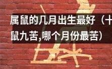 哪一月份出生的属鼠更能避免九九归真的命运?