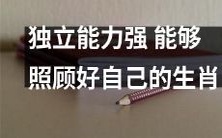 十二生肖中独立生活能力强、自我照顾能力高的动物是哪些?