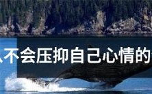 到永远保持真实情感的生肖,探究生肖个性表现方式的变化