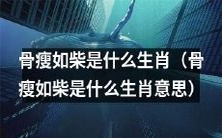 哪个生肖代表“骨瘦如柴”这一意象?