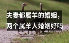 属羊夫妻的婚姻是否更容易破裂?一探两个属羊人的婚姻幸福真相!