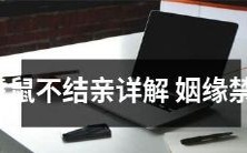 深入探讨虎鼠不相宜的缘由:揭秘姻缘禁忌的种种细节