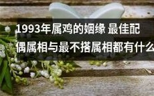 1993属鸡人的最佳配偶属相以及最不搭配的属相是哪些?探究1993年这个属鸡的姻缘配对问题