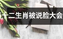 当人们开始谈论十二生肖的脸部轮廓大小时,这将带来怎样的影响?