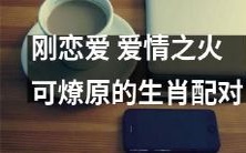 十二生肖中的新恋人,他们的激情之火能够燃烧整个世界的最佳配对
