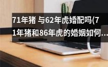 71年出生的猪和86年出生的虎:他们的婚姻是否牵动了天上飞鸟的心?