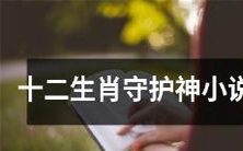 《十二生肖守护神》:一个神秘而奇幻的小说,故事中扮演着神圣角色的十二种动物,跨越时间和空间,为人们带来令人瞩目的冒险与启示!