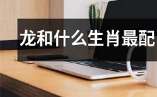 哪些生肖与龙配对最佳?