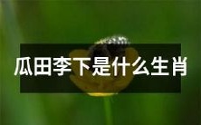 哪些生肖会被认为是在瓜田李下的?