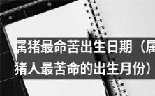 探究属猪人最命苦的出生月份:哪个月份的属猪人最为不利?
