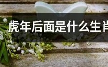 在中国农历中,接下来的几个年份将分别对应哪些生肖?